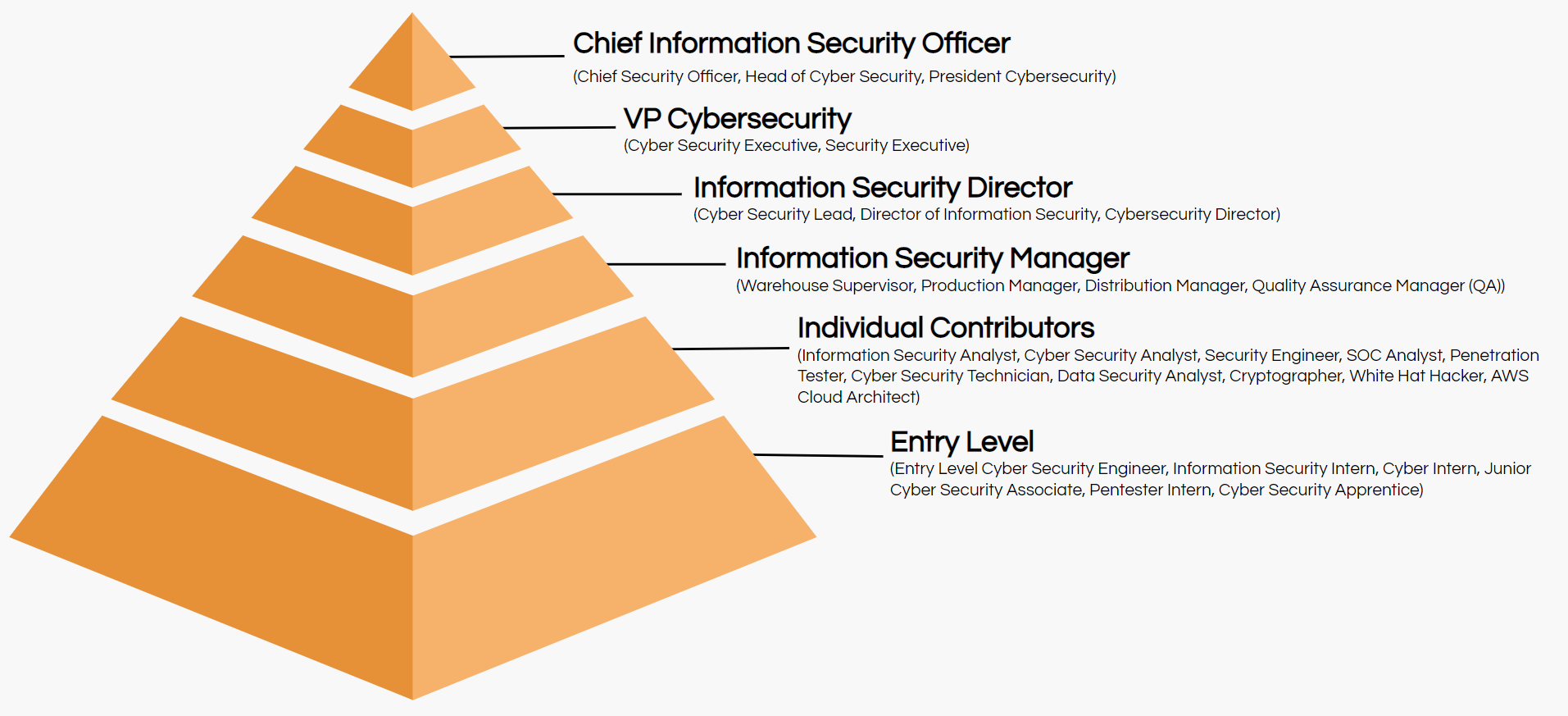 cyber security job title hierarchy