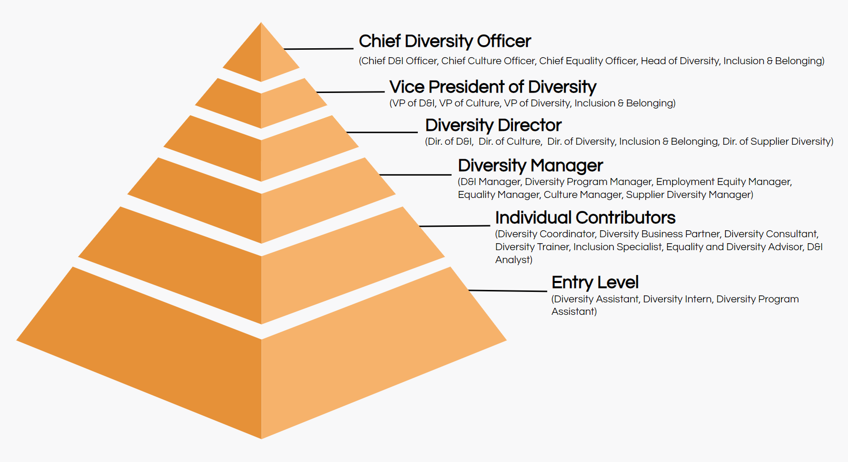 diversity job titles hierarchy