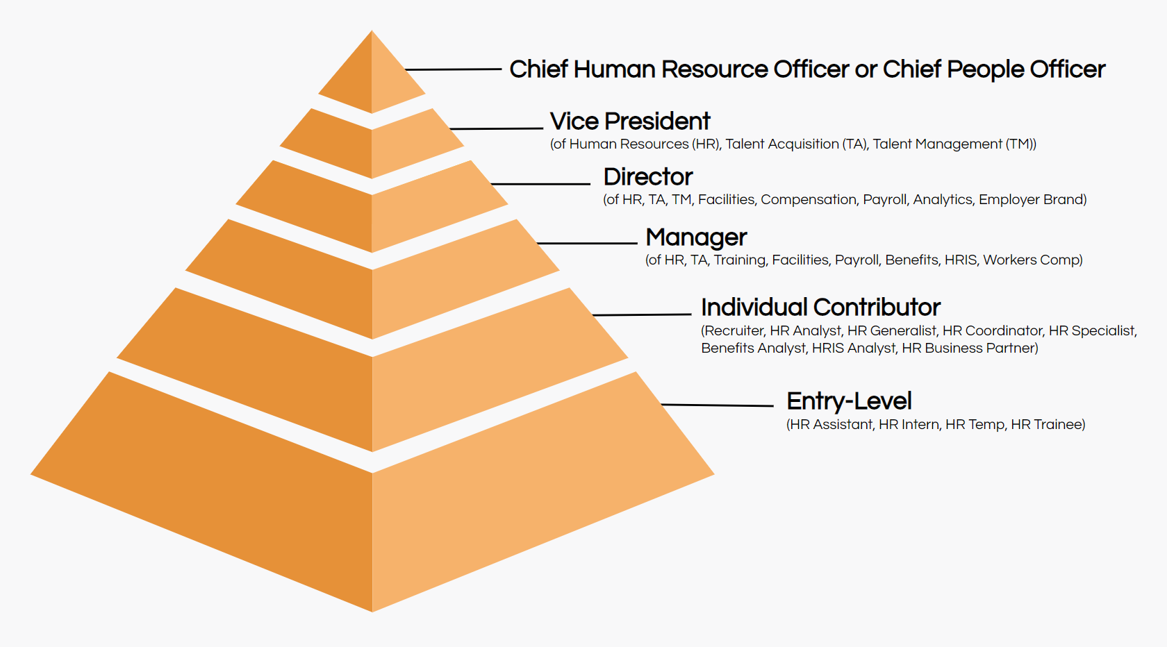 human resources job titles hierarchy