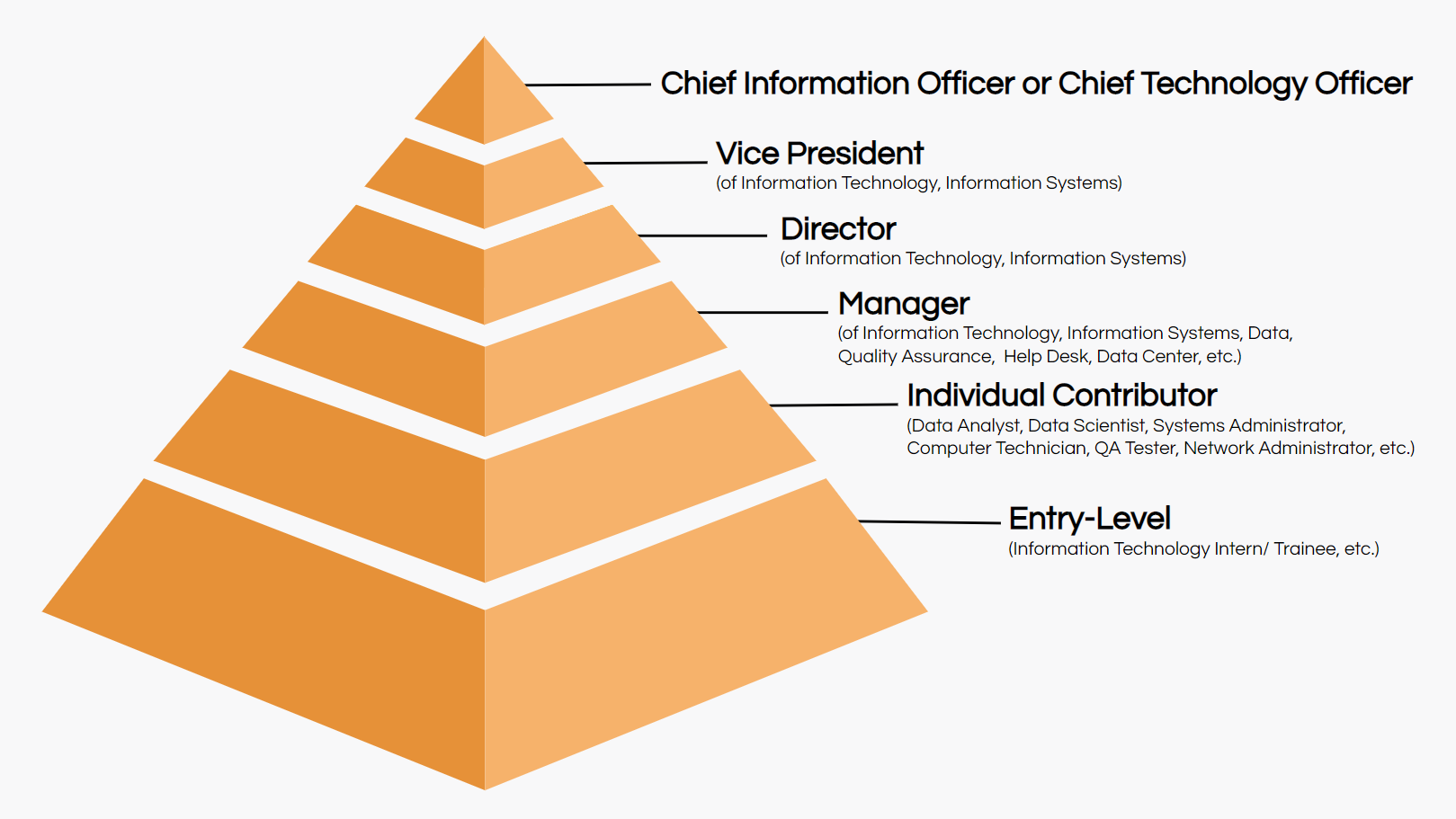 IT job titles hierarchy
