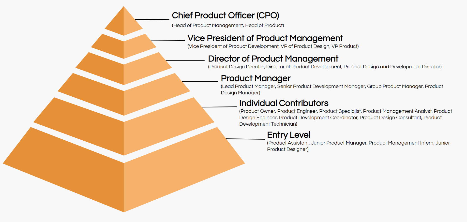 product management job titles hierarchy