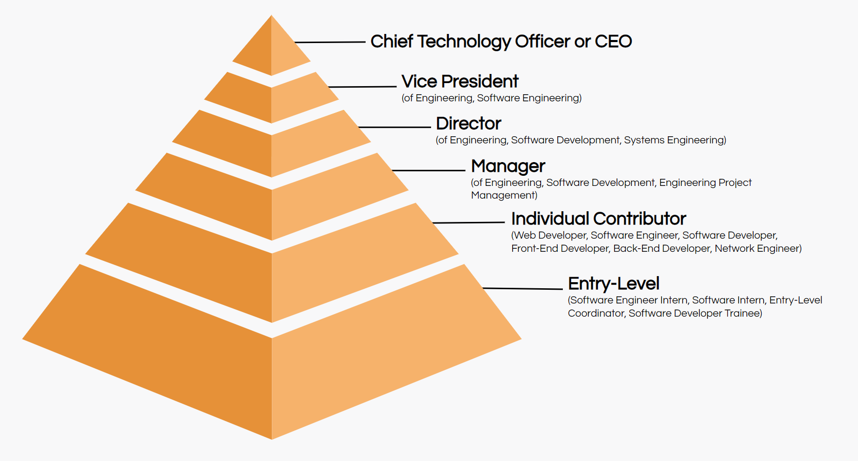 software developer job title hierarchy